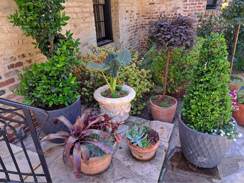 Pasadena Showcase House 2025 Bauer Estate & Gardens: Potted Plants next to the main entrance, designed by TimothyJohnLA