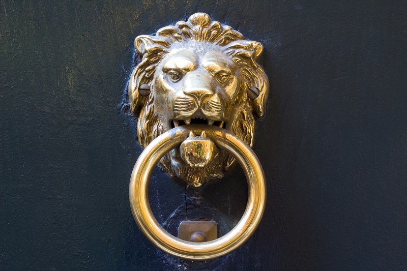 A classic copper lion door knocker