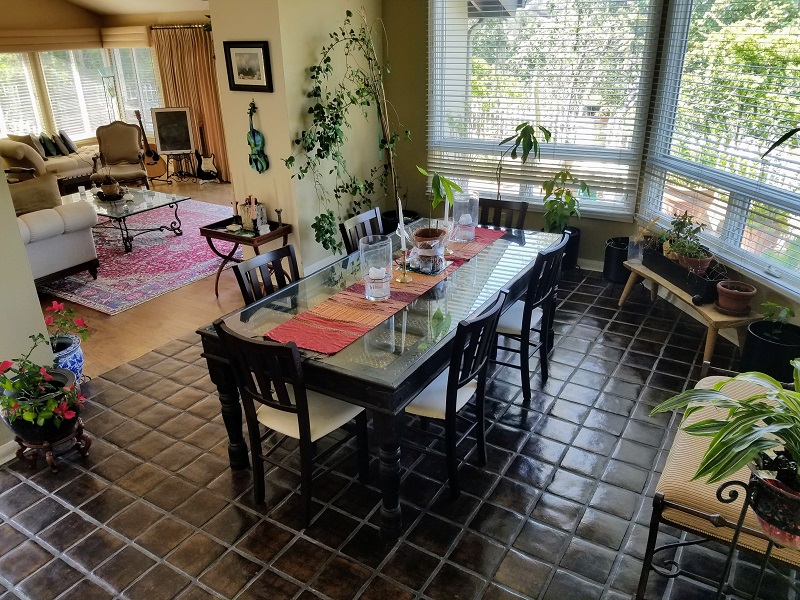 Dining room surrounded by green house plants with ample natural light