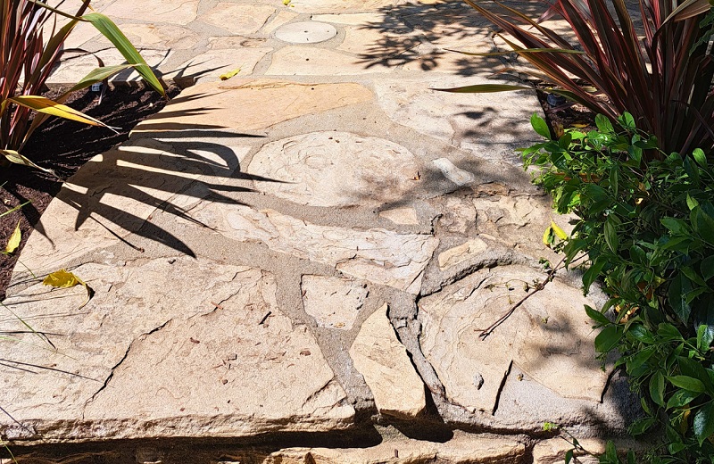 Native plants alongside of original stone walkway at Bauer Estate & Gardens