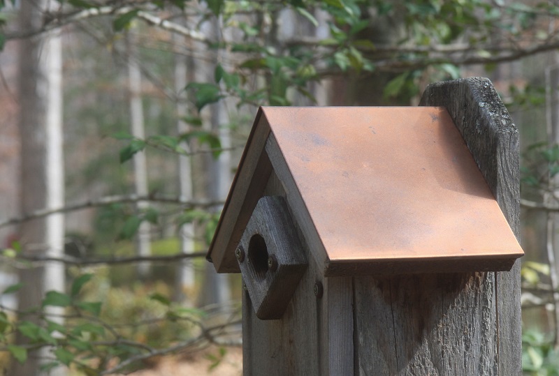 Rustic birdhouse with a durable copper roof