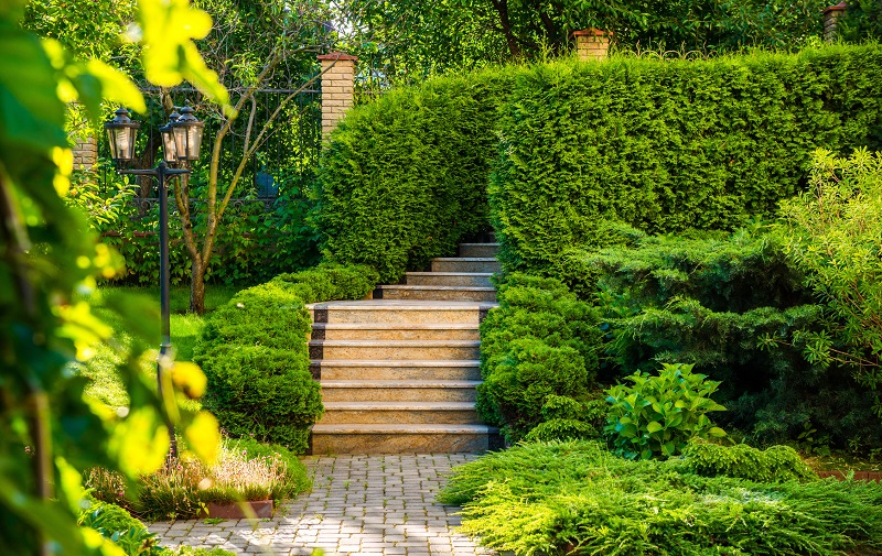 An elegant stone stairway leading to a backyard garden