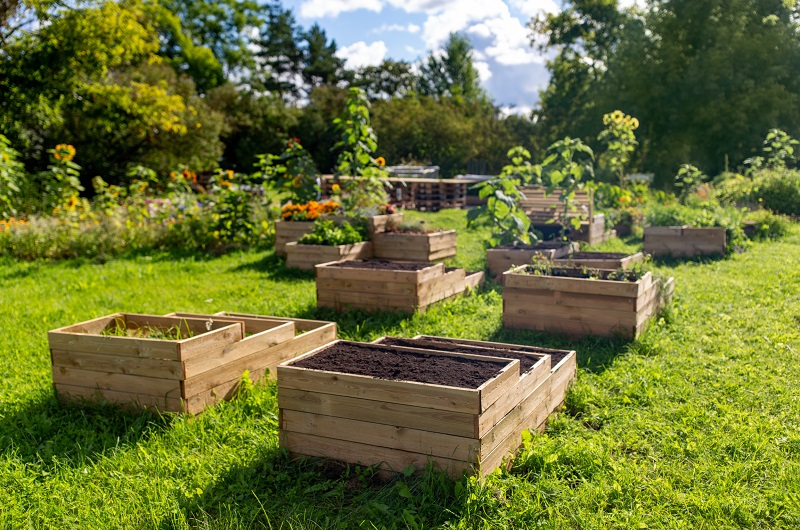 Raised garden beds made of old wooden boxes used in a small a farm
