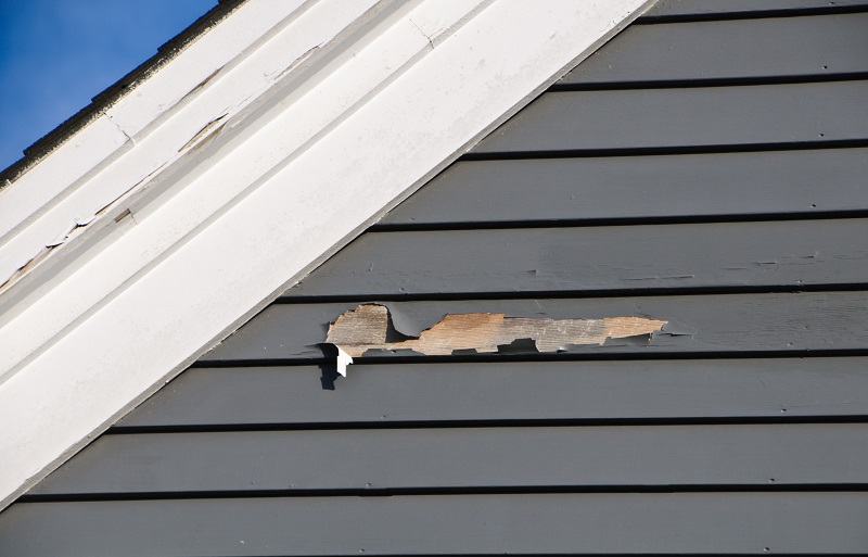 Peeling paint likely due to poor paint application or a moisture buildup behind the wood clapboard siding.