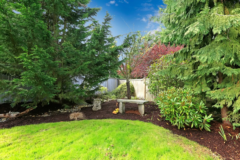 Backyard with healthy privacy trees around meditation garden