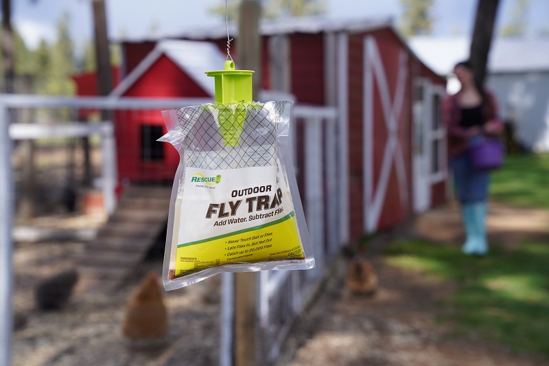 Rescue Disposable Outdoor Fly Trap in front of a chicken coop