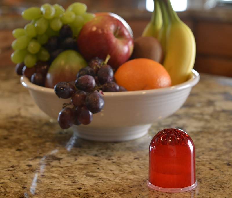 RESCUE! Fruit Fly Trap placed next to a full fruit bowl