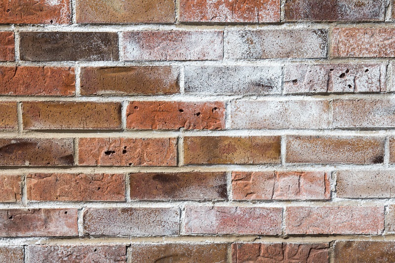 Brick wall with efflorescence