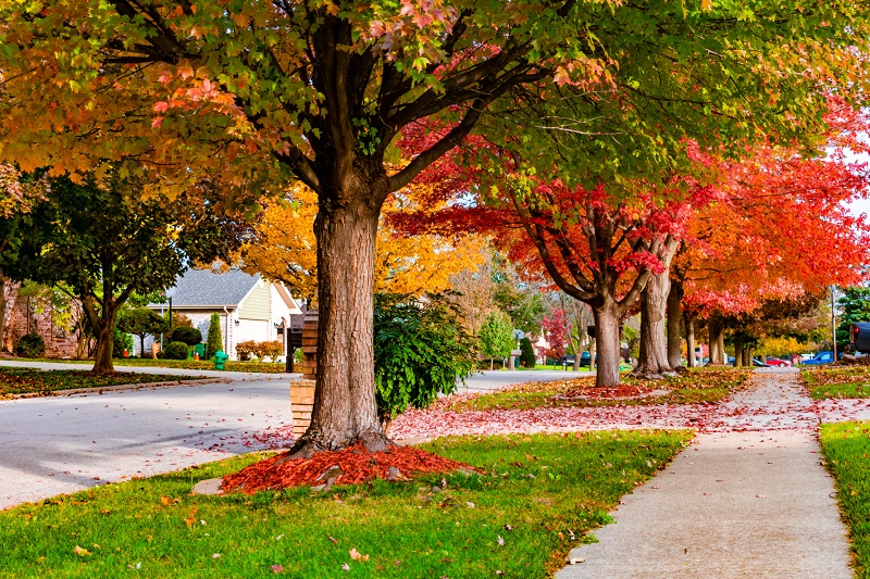 Colorful suburban neighborhood street in autumn
