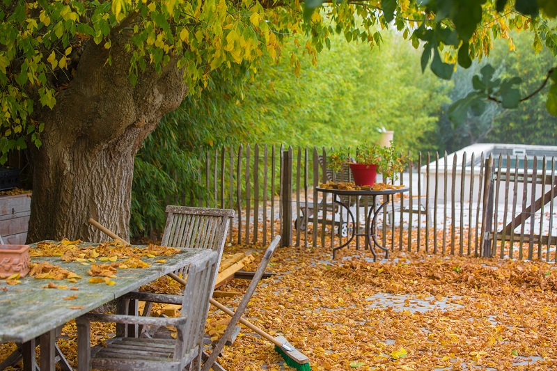 Home with a neglected backyard patio