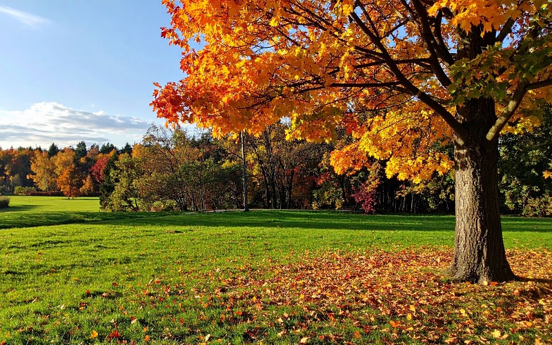 View of large fields during autumn