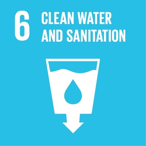 SDG 6 Clean Water and Sanitation Icon