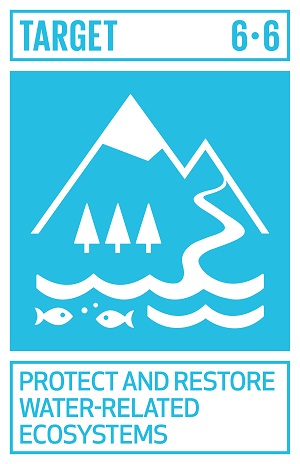 SDG Water Goal 6: Target 6.6