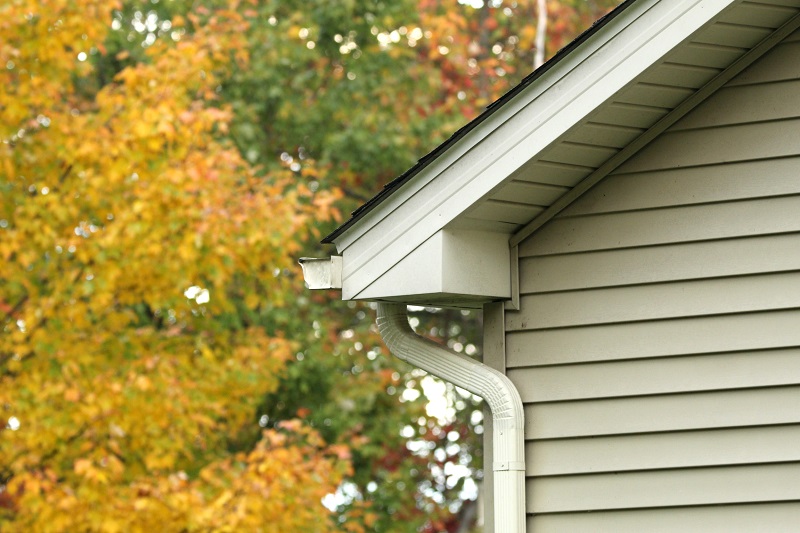 View of rain gutter and downspout in early autumn