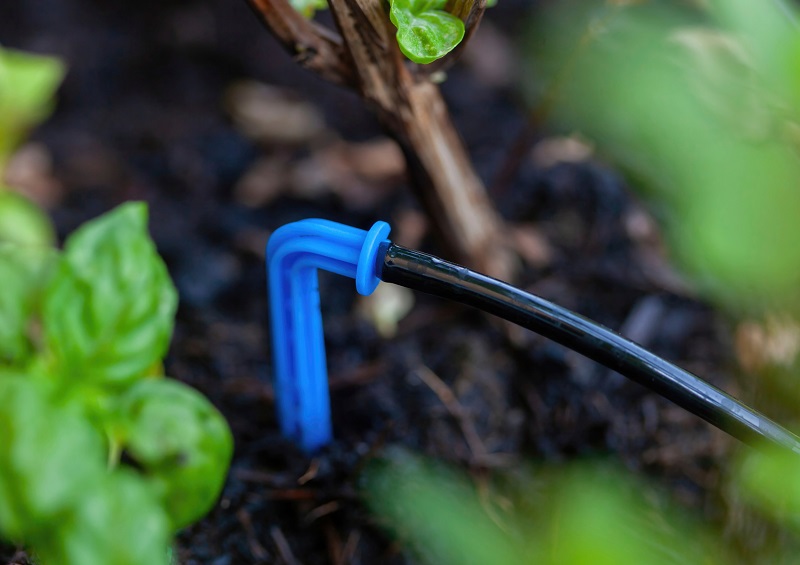 Close-up view of a smart drip irrigation system