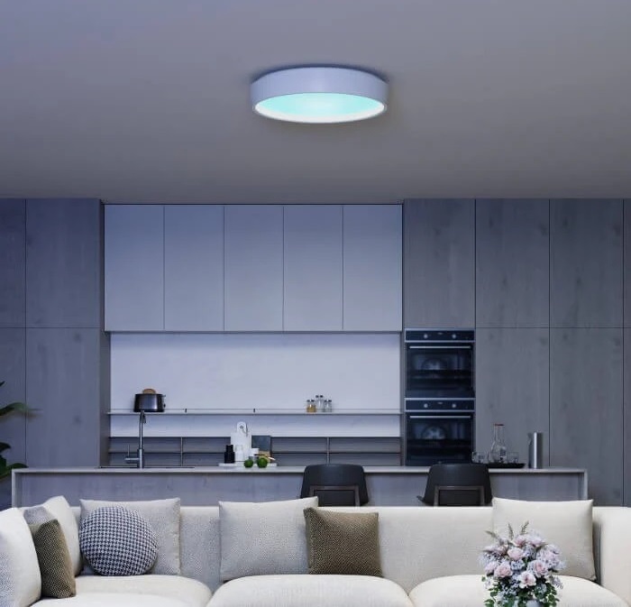 Govee Sky Ceiling Light