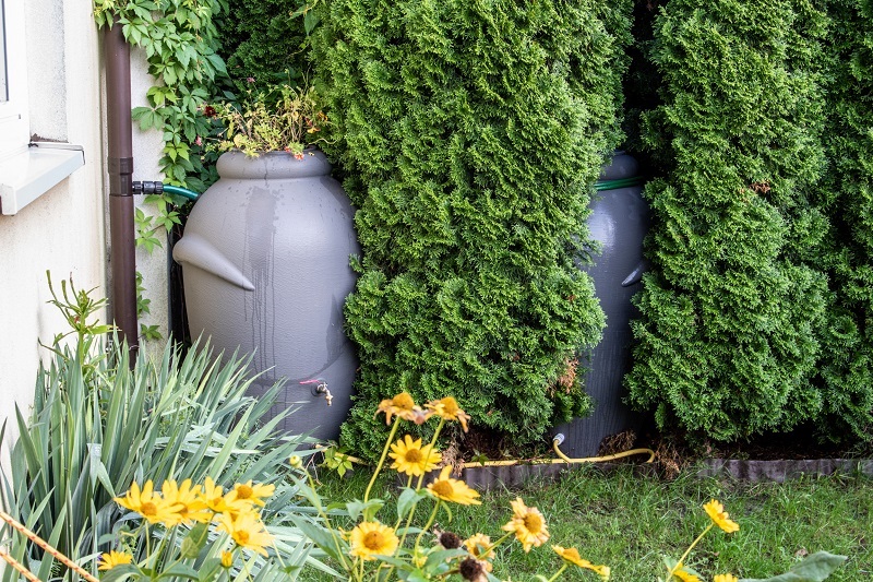 A simple rainwater harvesting system with two water collecting tanks daisy chained to a rain gutter.