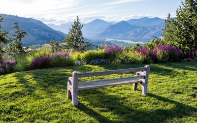 Hidden Gems: Intangibles that Can Boost Your Home’s Value
