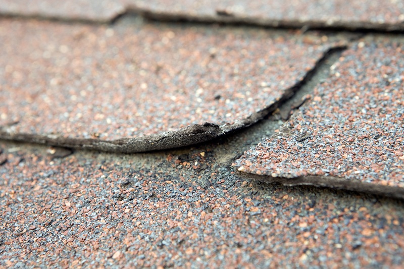 Close up view of a weathered and damaged roof shingle that is curling up