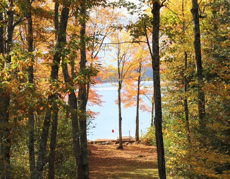 A framed lakefront walkway during autumn