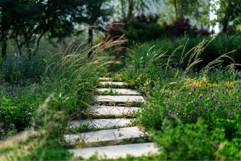 Rustic stone walkway down to the shoreline