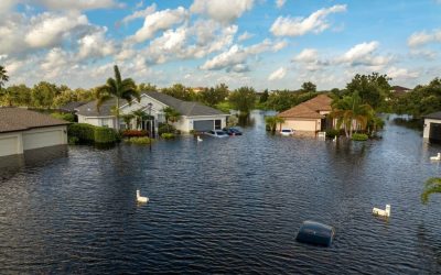 Future-Proofing Your Home: A Regional Resilience Guide