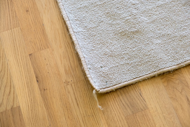 Common household trip hazard: curled up floor rug