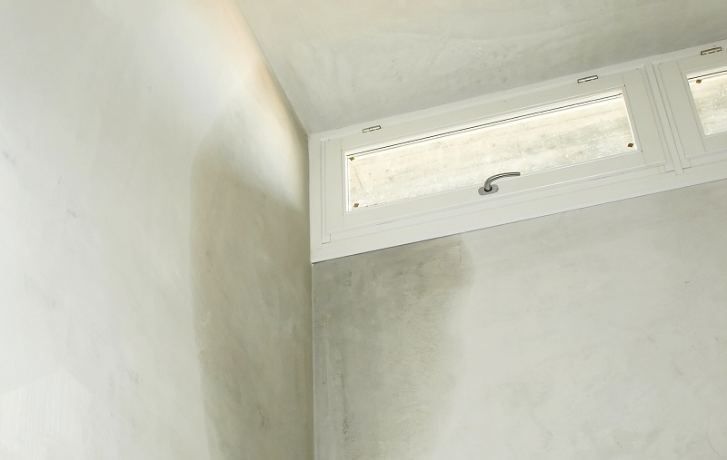 Moisture in corner of basement