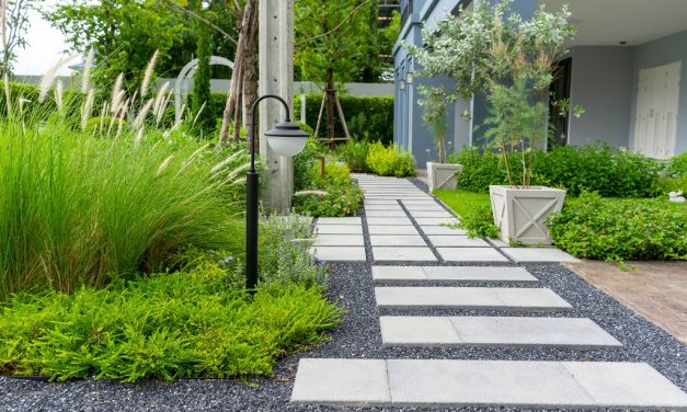 Graywater Systems: A Homeowner’s Guide to Drought-Proofing Your Landscape