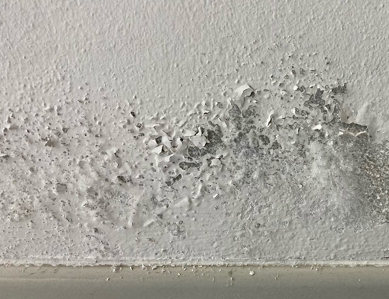 Heavy signs of mold and humidity on drywall