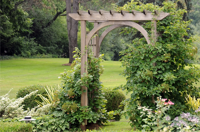 Large backyard garden with wooden trellis