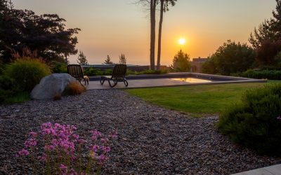 The No-Fence Guide to Creating a Private Backyard Oasis