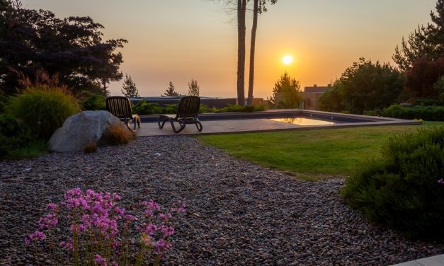 The No-Fence Guide to Creating a Private Backyard Oasis