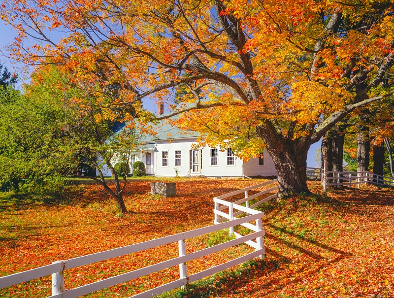A rural New England house in autumn