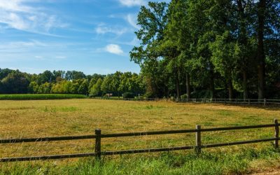 What to Know Before Building a Home on Rural Land