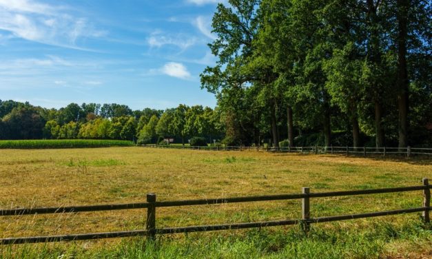What to Know Before Building a Home on Rural Land
