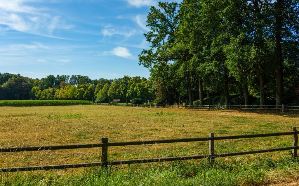 What to Know Before Building a Home on Rural Land